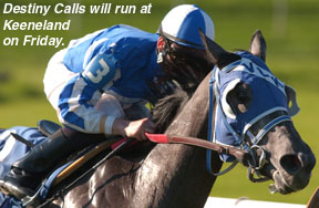 Destiny Calls