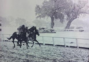 Snow at Fair Grounds
